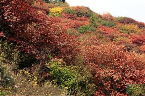石家庄平山银河洞旅游攻略