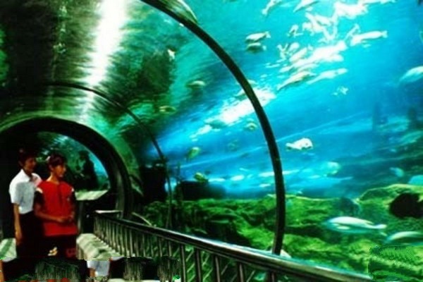 秦皇岛新澳海底世界旅游攻略