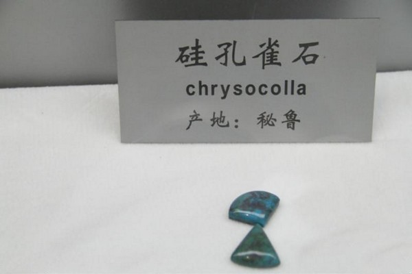 石家庄经济学院地球科学博物馆旅游攻略