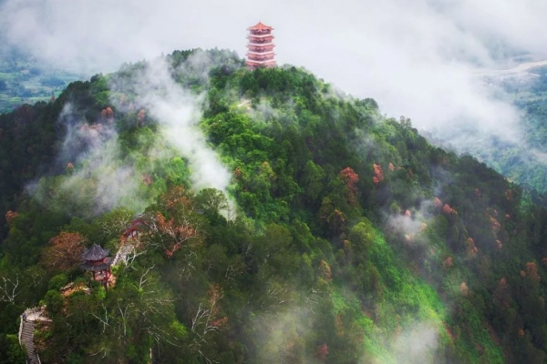 午子山图片