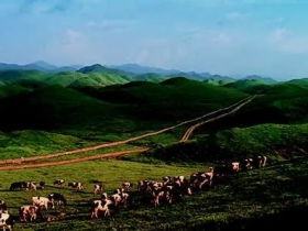 南山
