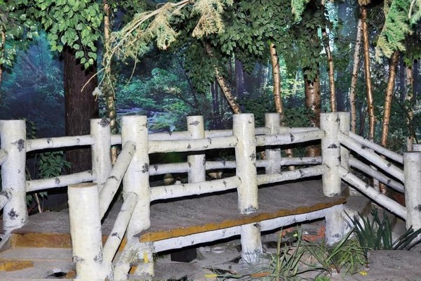 穆棱远东林木博物馆旅游攻略