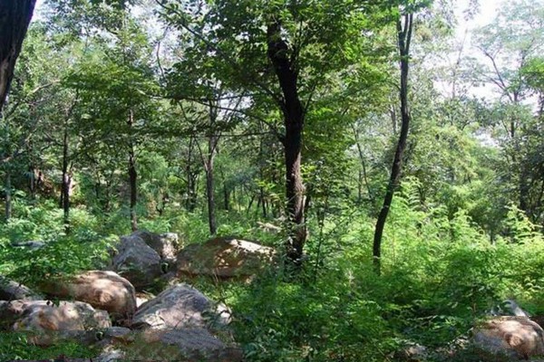 石家庄封龙山风景名胜区旅游攻略