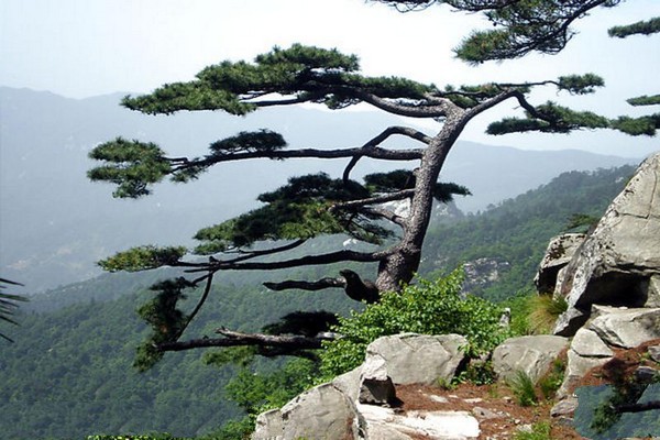 石家庄灵寿秋山景区旅游攻略