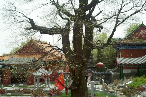 石家庄封龙山风景名胜区旅游攻略