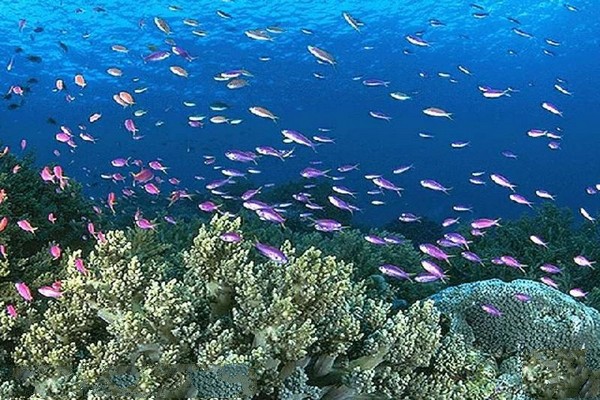 秦皇岛新澳海底世界旅游攻略