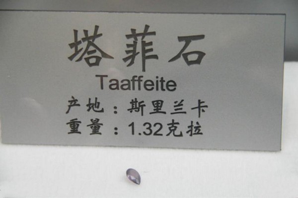 石家庄经济学院地球科学博物馆旅游攻略