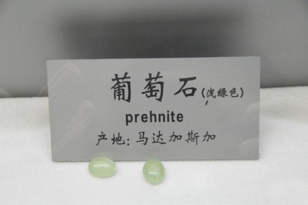石家庄经济学院地球科学博物馆旅游攻略