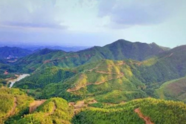 周公山图片