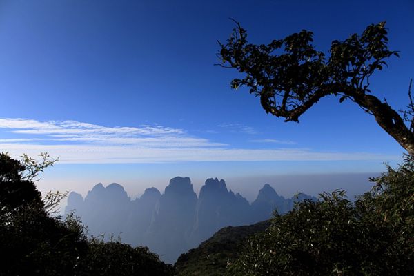 圣堂山图片