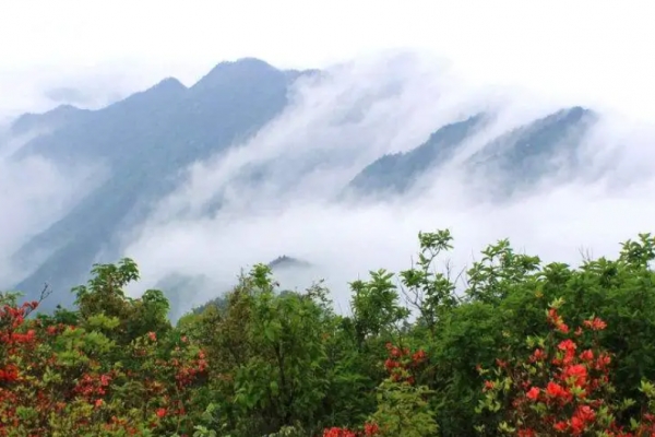 回龙山图片