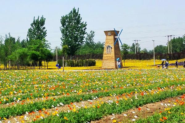 紫云水岸香草园旅游攻略