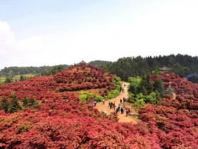 圣灯山