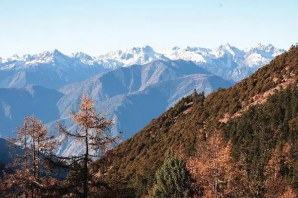 嘎金雪山图片