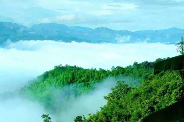 吊罗山图片