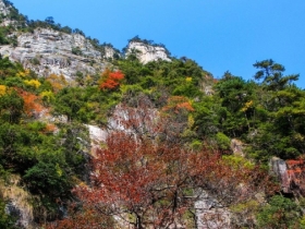 大明山