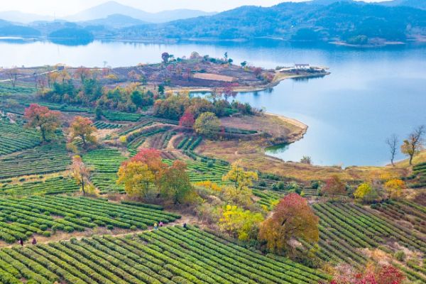 大悟山图片