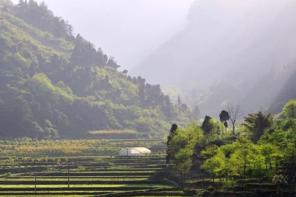大娄山图片
