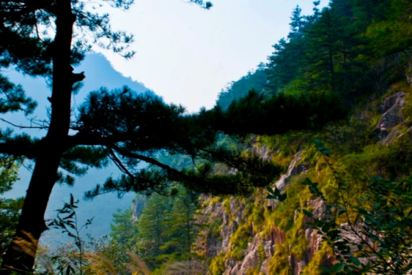大盘山图片