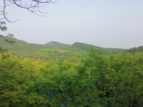 大历山