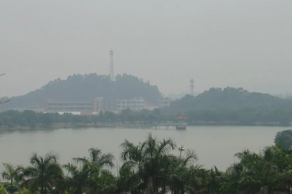 大夫山图片