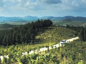 大洞山