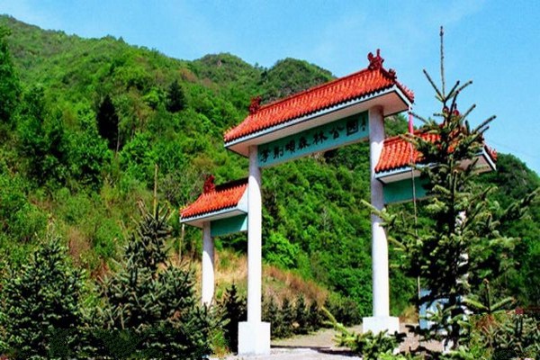 茅荆坝国家森林公园旅游攻略