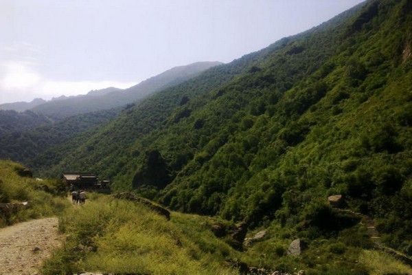 蔚县小五台金河景区旅游攻略