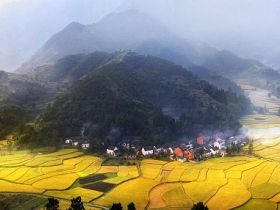 大悟山