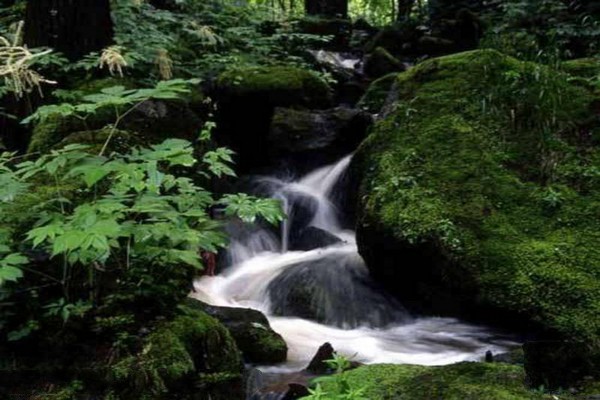 蛟河拉法山国家森林公园旅游攻略