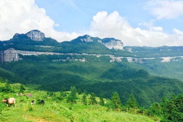 大娄山图片