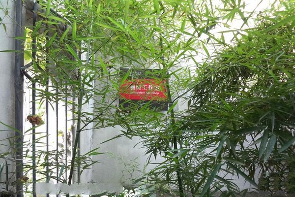 苏州环秀山庄旅游攻略