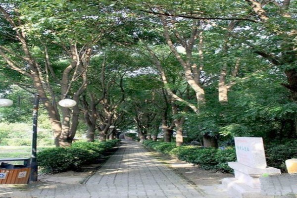 苏州张陵公园旅游攻略