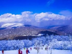 大秃顶子山