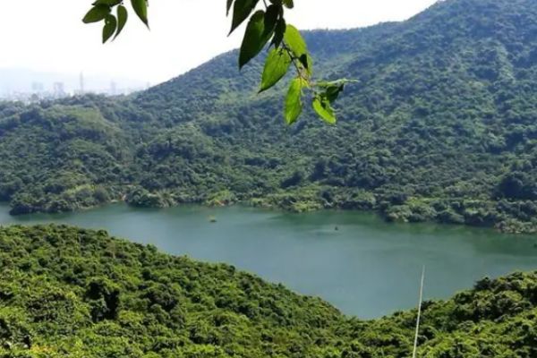 塘朗山图片