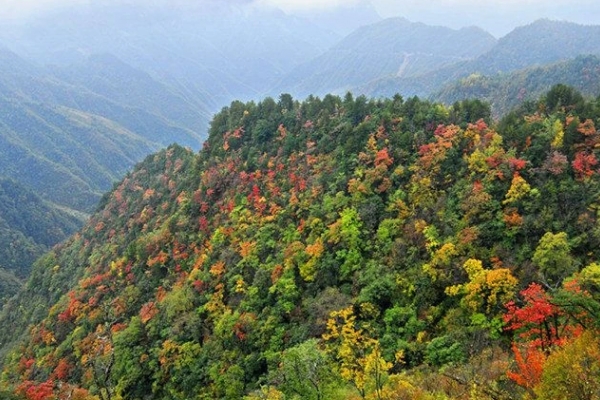 大巴山图片