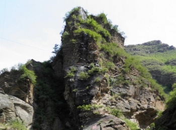 太平猴山