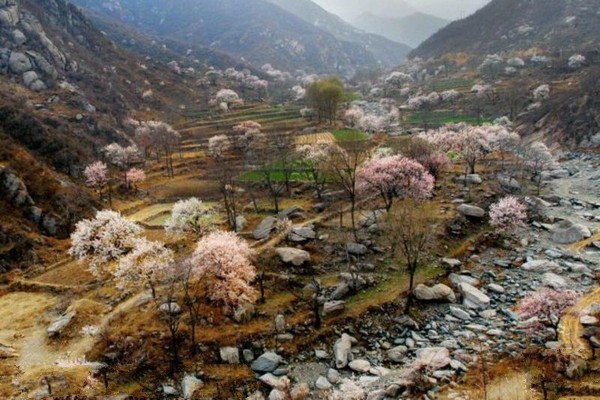 赞皇县棋盘山景区旅游攻略