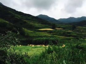 太子山