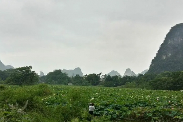 天钟山图片