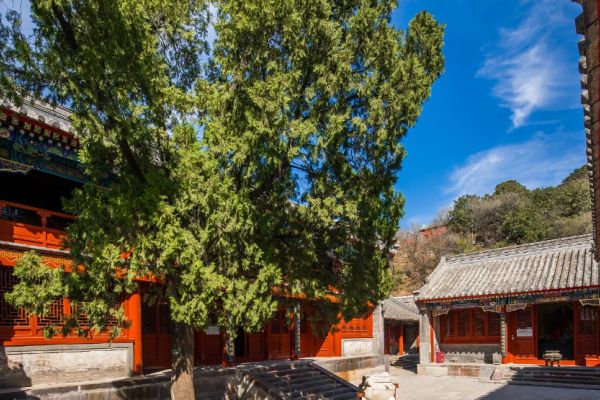天泰山图片