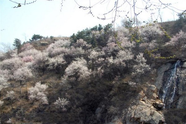 赞皇县棋盘山景区旅游攻略