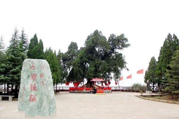 运城大禹渡黄河风景区旅游攻略
