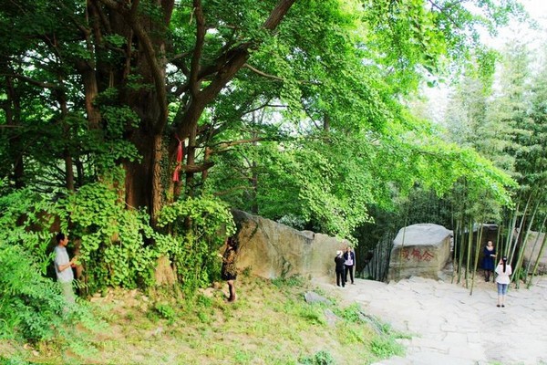 连云港海上云台山旅游攻略