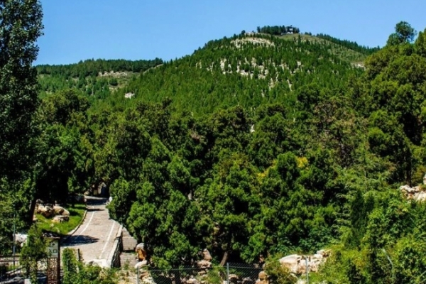 尼山图片