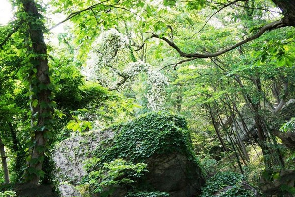 连云港海上云台山旅游攻略
