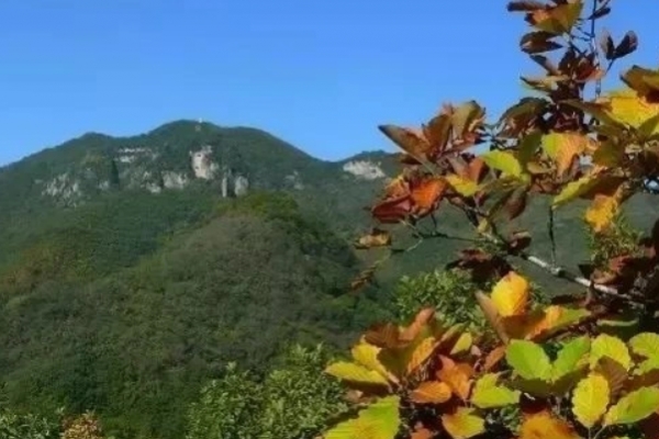 岐山图片