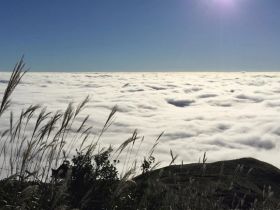 姑婆山