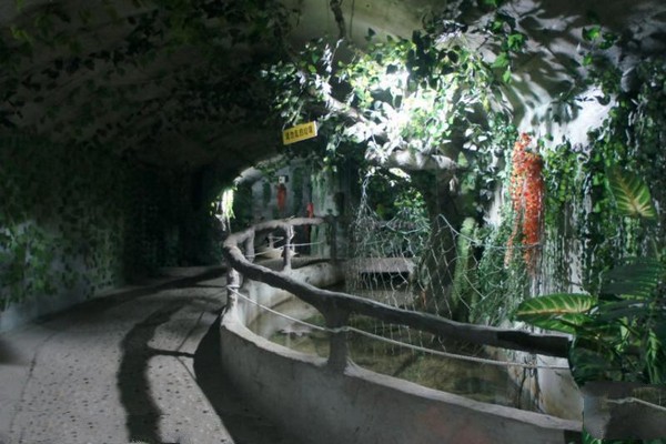 连云港连岛海底世界旅游攻略