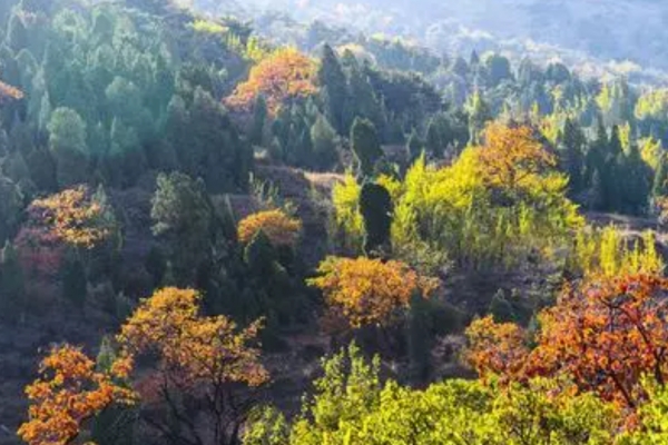 孤峰山图片
